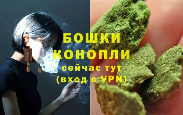 мдпв Тавда
