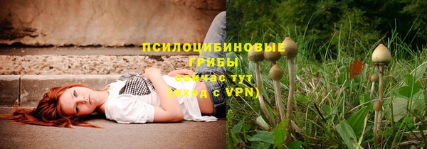 мдма Гусиноозёрск