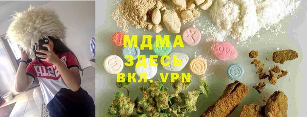 тгк Дмитриев