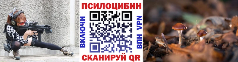 даркнет сайт  Шебекино  Галлюциногенные грибы Psilocybe 